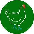 Sans titre (18) (2).png